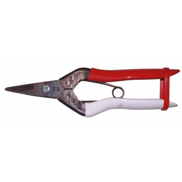 OKATSUNE 307 snips