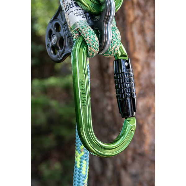 Karabiner NOTCH ABSOLUTE OVAL triple lock