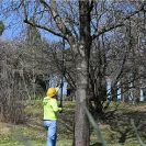 CASTELLARI RY400 CARBON 2,8 - 4,0 m