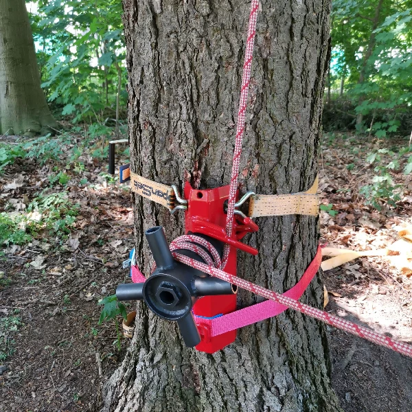 EDER DaWINCHI rigging bollard with winch