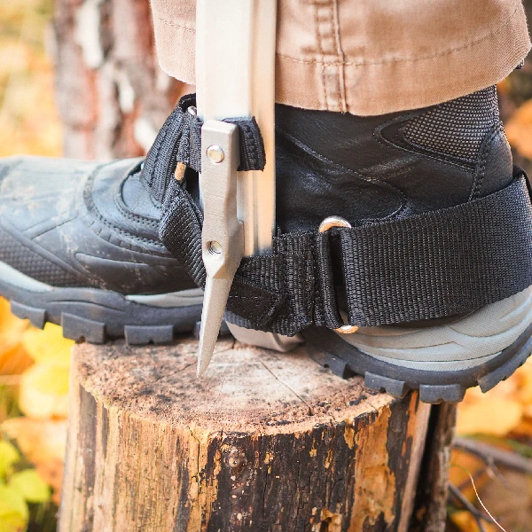 Tree climbing spurs PANTHER SPIKES ALU VELCRO black