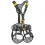 PETZL ASTRO INT 2025 work harness black