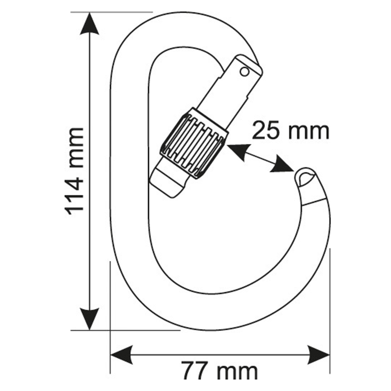 CAMP CORE Lock