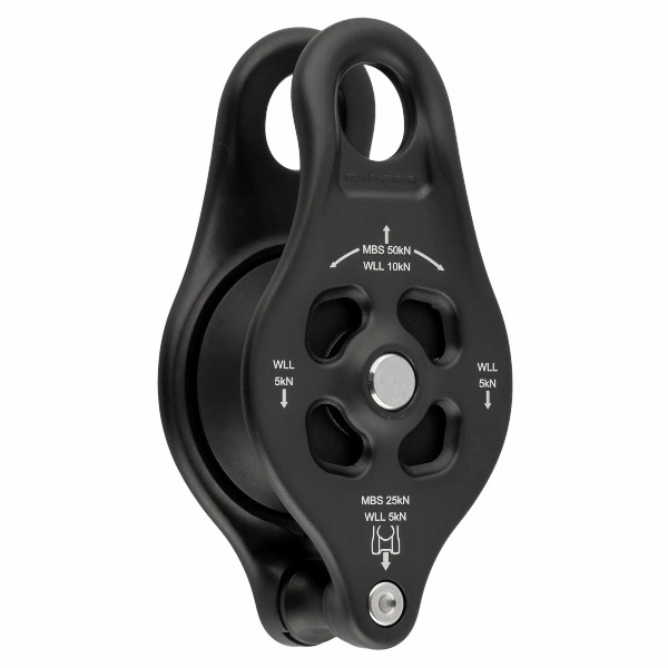 DMM PINTO RIG 2 csiga