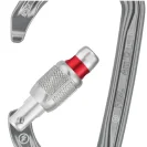 PETZL AmD Screw-Lock