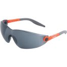 Safety glasses ARDON V6