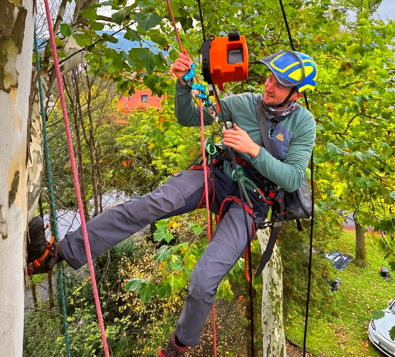 Arboristika