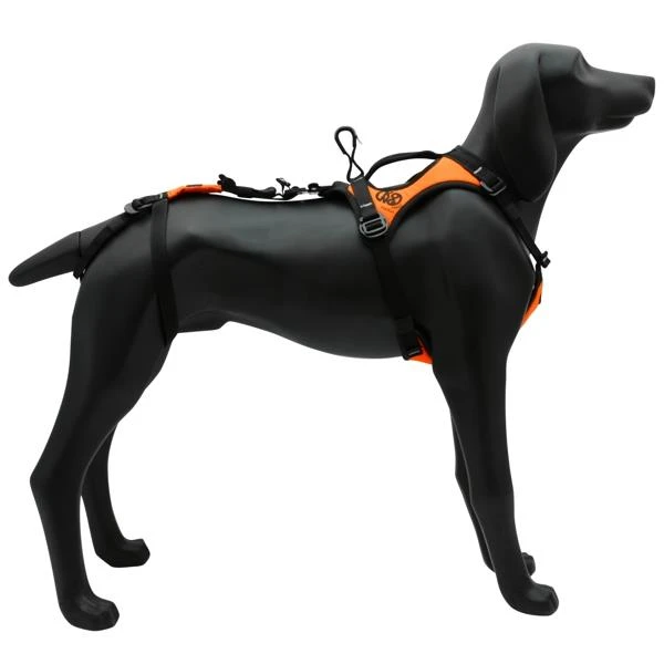 KONG HARIA harness for rescue dogs