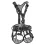 PETZL ASTRO INT 2025 work harness black