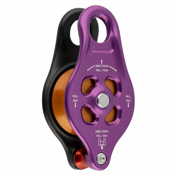 DMM PINTO RIG 2 csiga
