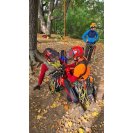 Tree climbing rescue in practice