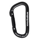 Segédkarabiner SINGING ROCK MINI D