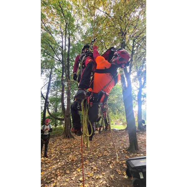 Tree climbing rescue in practice