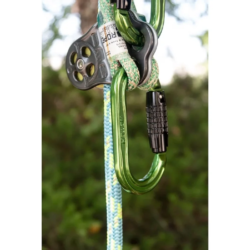 NOTCH ABSOLUTE OVAL Triple-Lock
