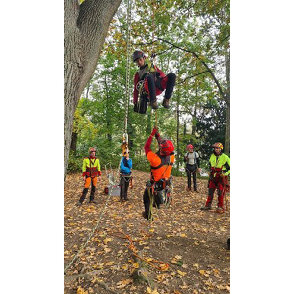 Tree climbing rescue in practice