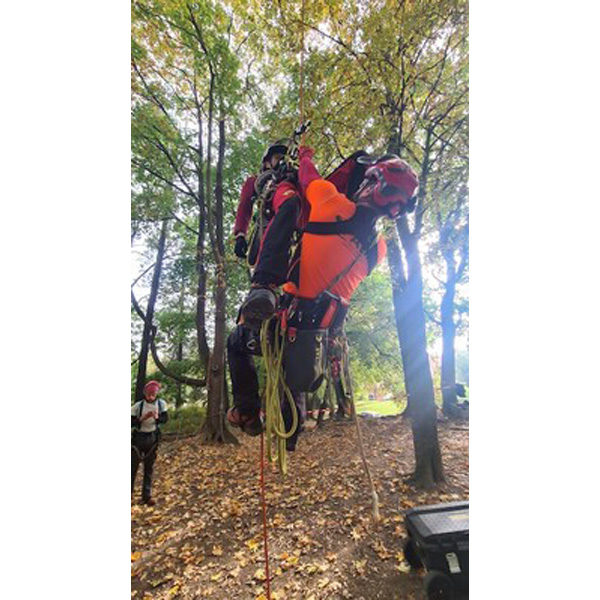 Tree climbing rescue in practice course