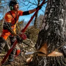 REIPAL TREE JACK RH-PUSHER VI