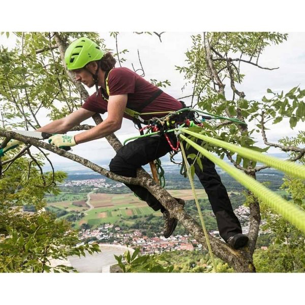 Arborist harness EDELRID TreeRex TRIPLE LOCK