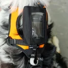 KONG HARIA harness for rescue dogs