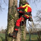 Chainsaw boots FRANCITAL XLIGHT ARBORIST