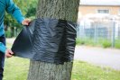 GEFA ARBOTAPE védőfólia
