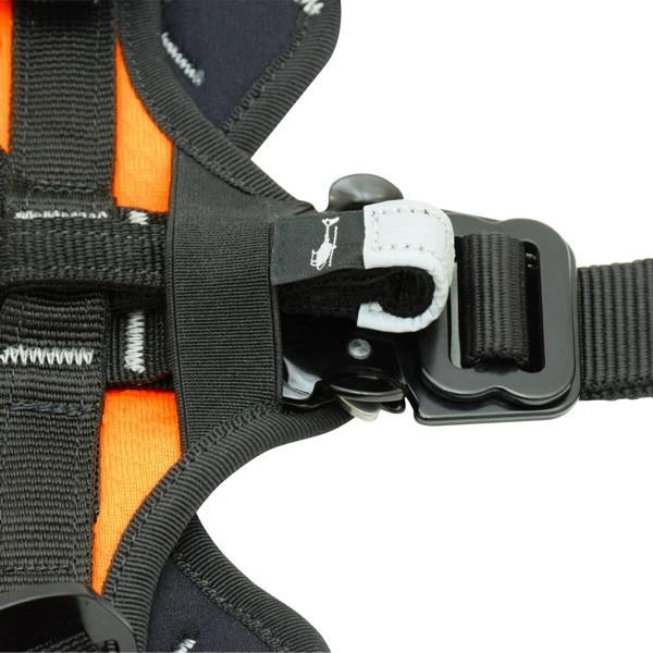 KONG HARIA harness for rescue dogs