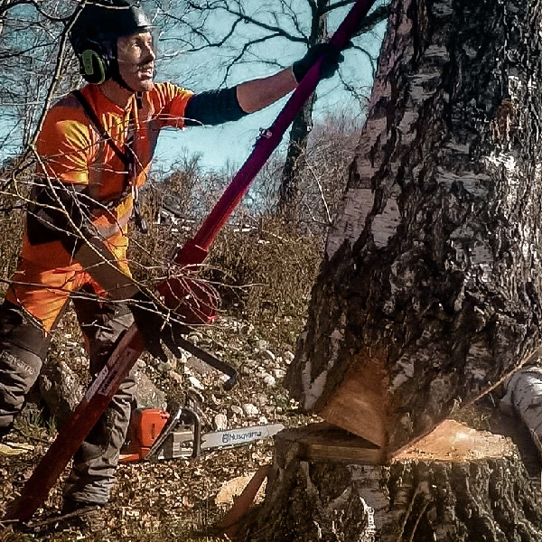 REIPAL TREE JACK RH-PUSHER