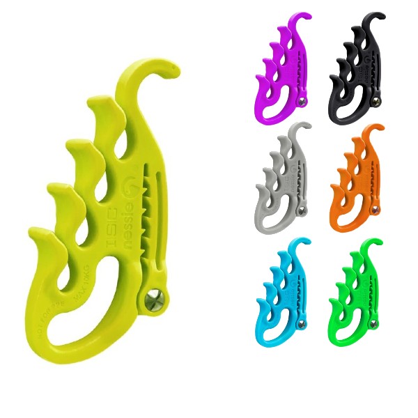 Organizátor kmenovky ISC NESSIE